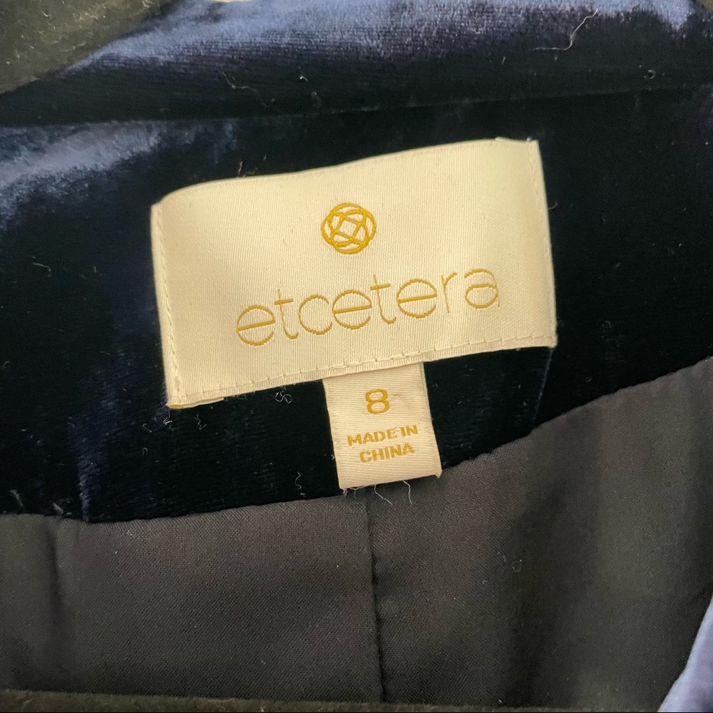 Velvet Double Breasted Button Jacket - image 3